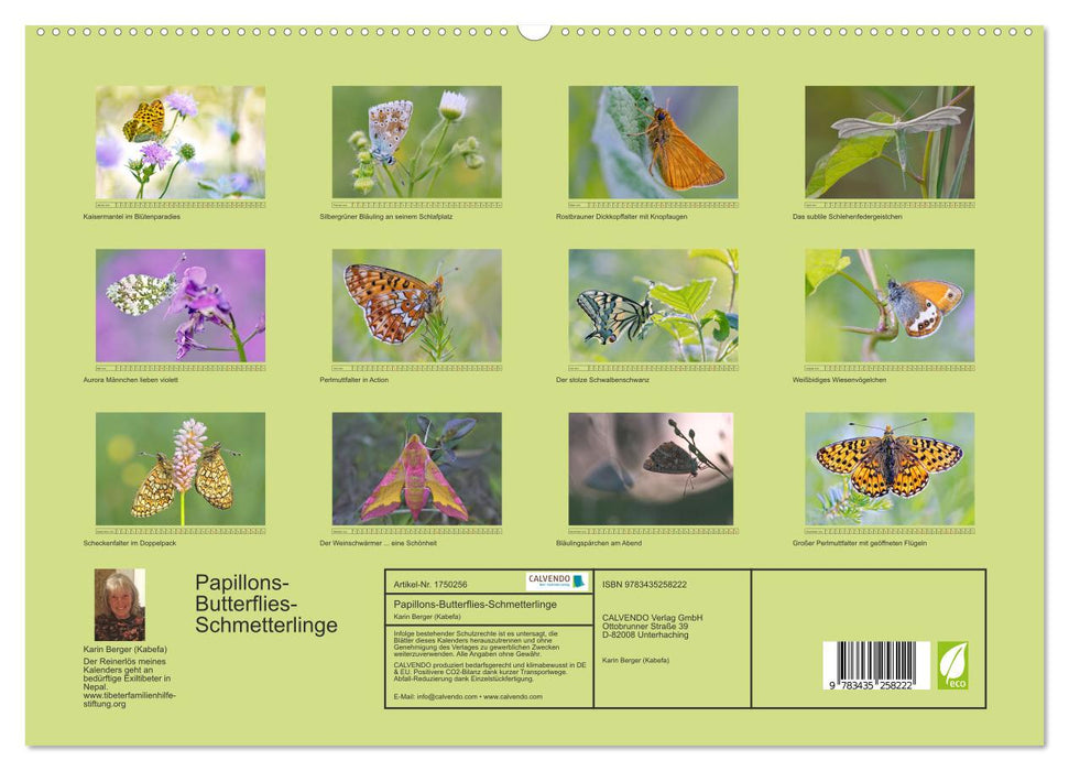 Papillons-Butterflies-Schmetterlinge (CALVENDO Premium Wandkalender 2025)