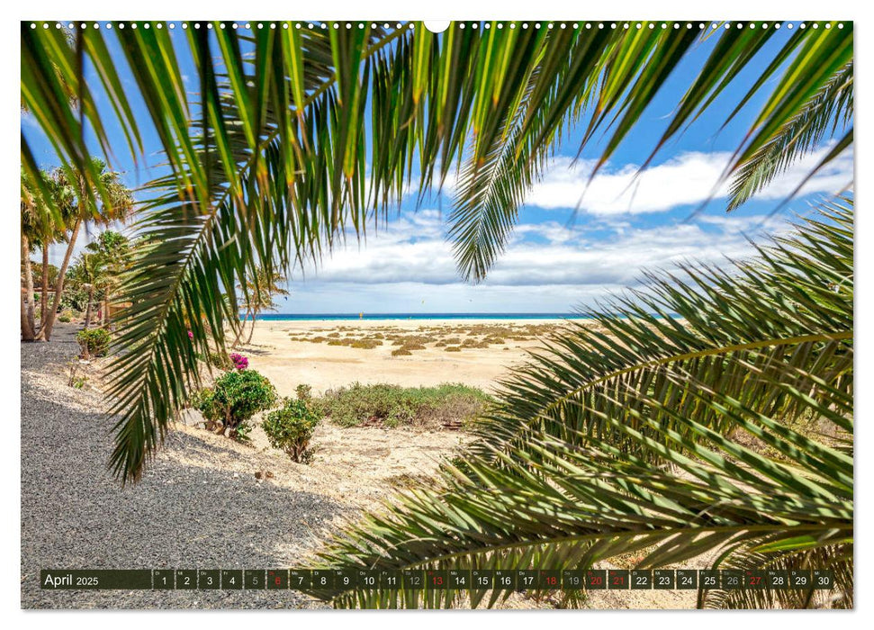 FUERTEVENTURA Paradiesische Impressionen der Insel (CALVENDO Wandkalender 2025)