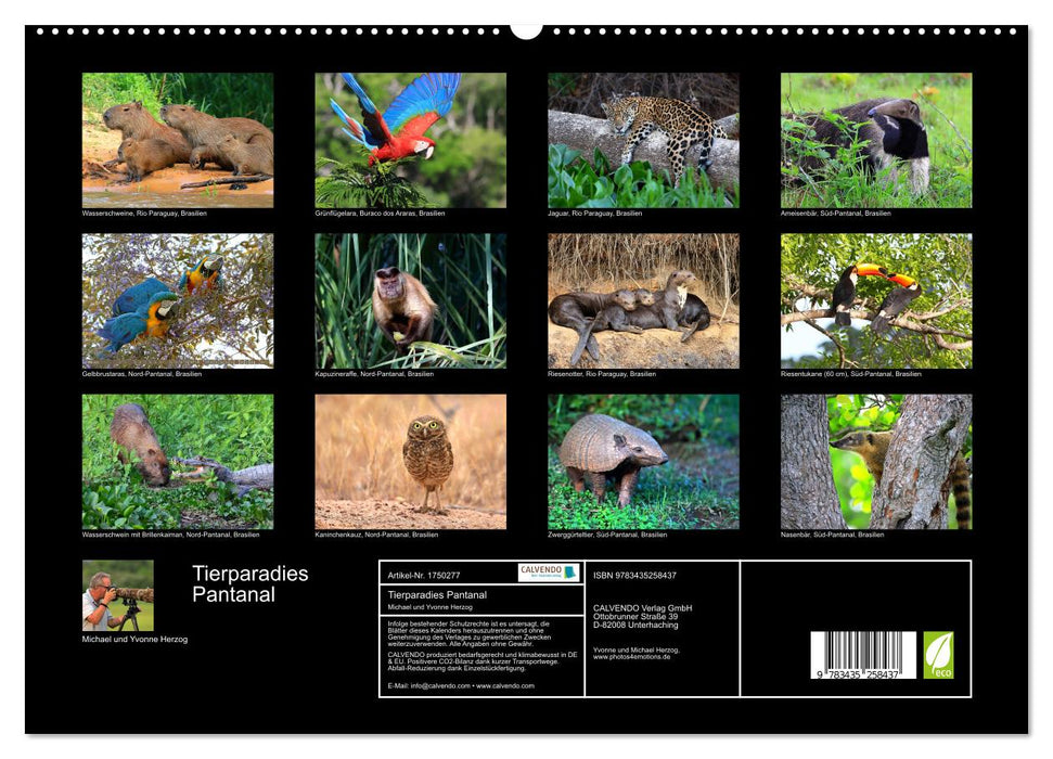 Tierparadies Pantanal (CALVENDO Premium Wandkalender 2025)