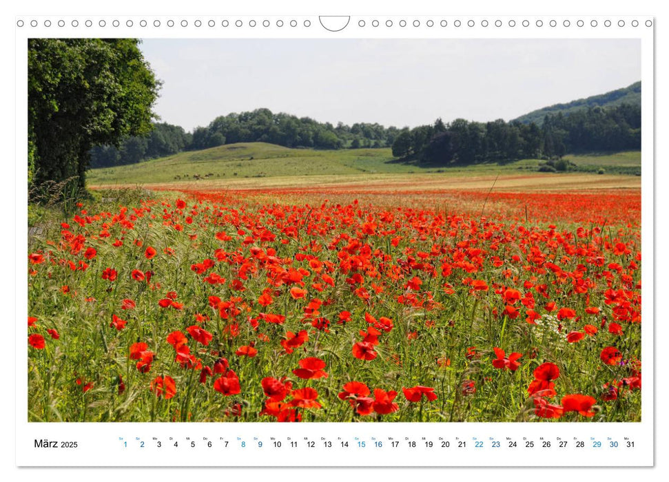 Naturerlebnis - Wandern zwischen Hunsrück, Mosel und Eifel (CALVENDO Wandkalender 2025)