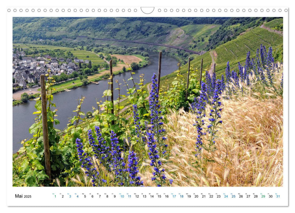 Naturerlebnis - Wandern zwischen Hunsrück, Mosel und Eifel (CALVENDO Wandkalender 2025)