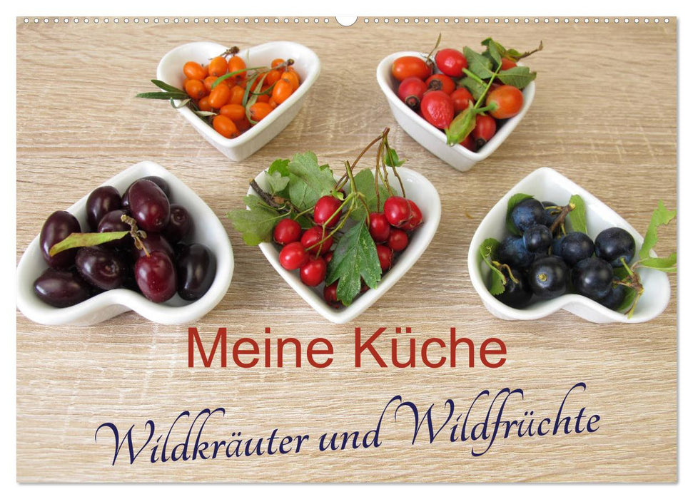 Meine Küche – Wildkräuter und Wildfrüchte (CALVENDO Wandkalender 2025)