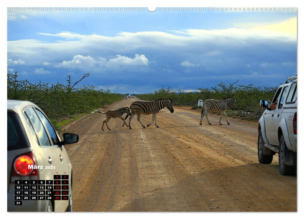 Pisten und Straßen - unterwegs im südlichen Afrika (CALVENDO Wandkalender 2025)