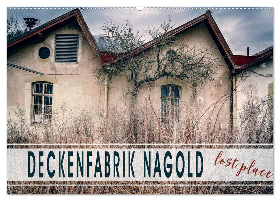 Deckenfabrik Nagold - lost place (CALVENDO Wandkalender 2025)