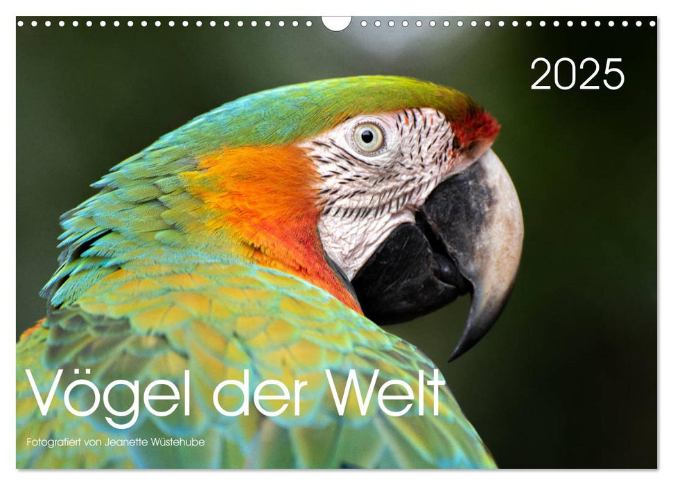 Vögel der Welt (CALVENDO Wandkalender 2025)