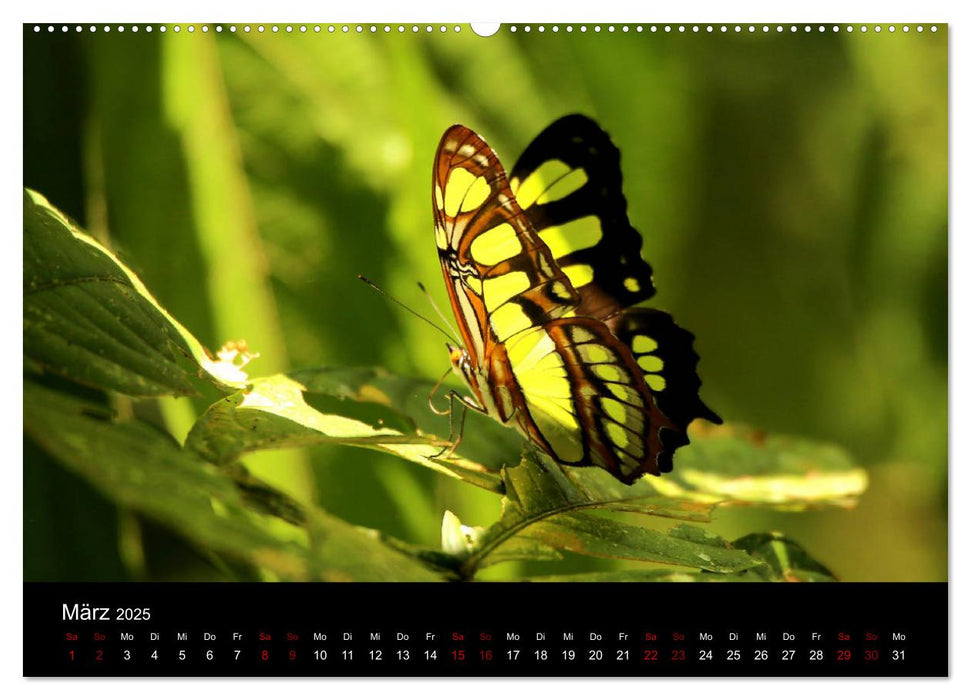 Ama la Vida Ecuador (CALVENDO Wandkalender 2025)