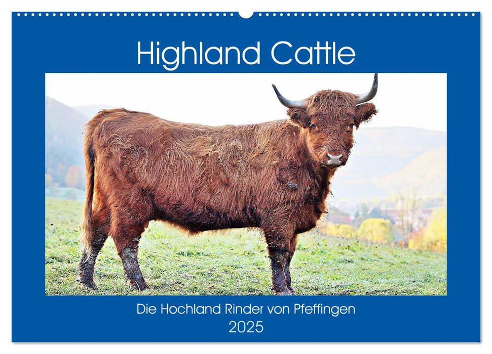 Highland Cattle, die Hochlandrinder aus Pfeffingen (CALVENDO Wandkalender 2025)