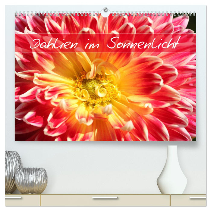 Dahlien im Sonnenlicht (CALVENDO Premium Wandkalender 2025)