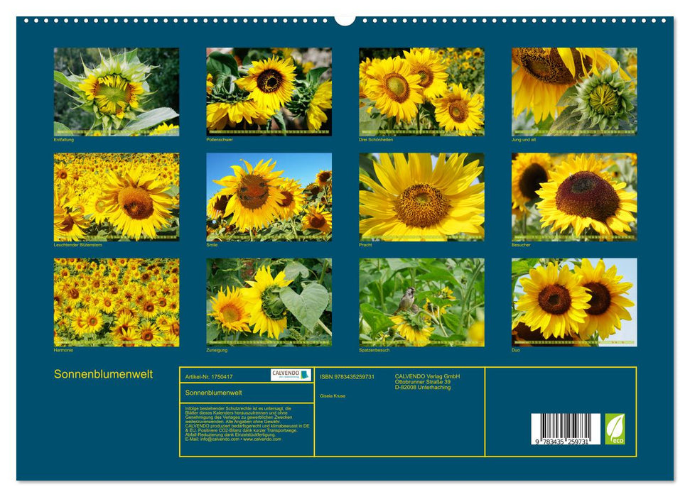 Sonnenblumenwelt (CALVENDO Premium Wandkalender 2025)