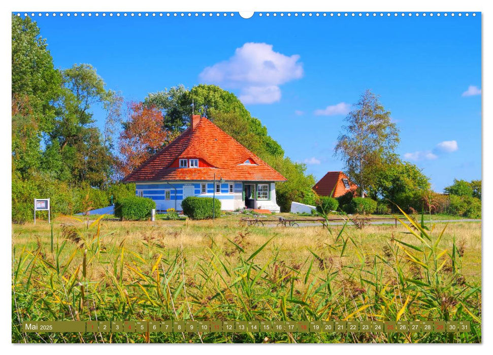 Insel Hiddensee - Dat söte Länneken (CALVENDO Premium Wandkalender 2025)