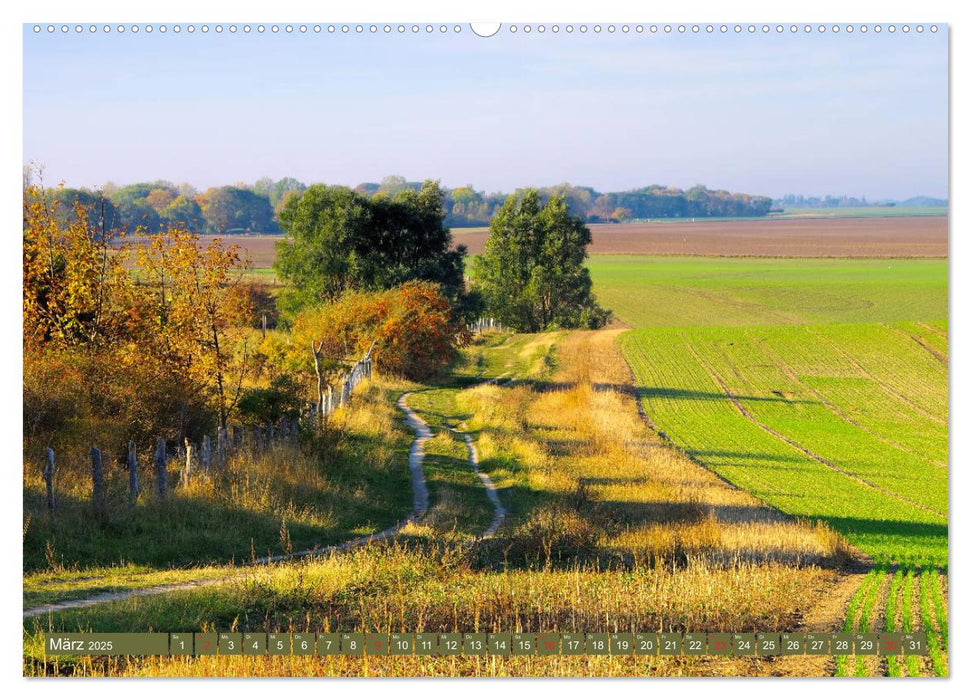 Kap Arkona und das alte Fischerdorf Vitt (CALVENDO Premium Wandkalender 2025)