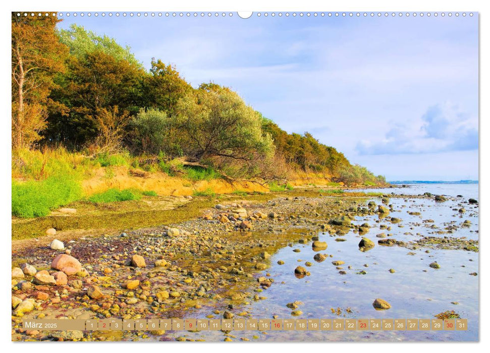 Insel Poel - Auszeit an der Ostsee (CALVENDO Premium Wandkalender 2025)