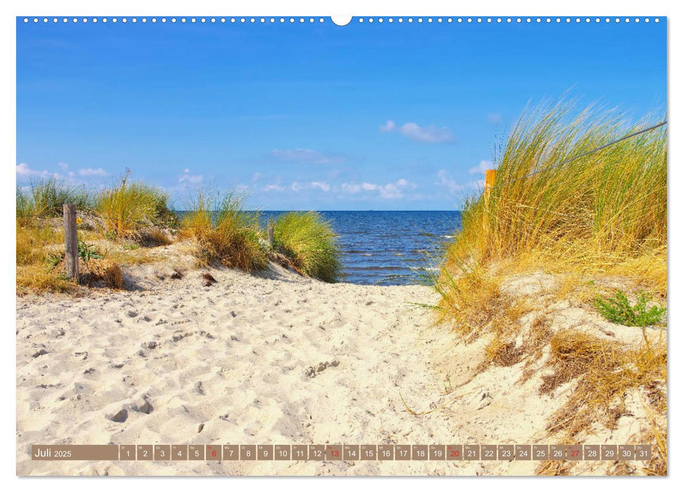 Insel Poel - Auszeit an der Ostsee (CALVENDO Premium Wandkalender 2025)