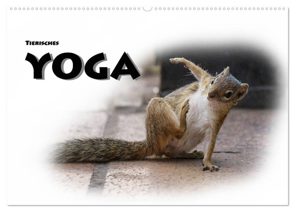 Tierisches Yoga (CALVENDO Wandkalender 2025)