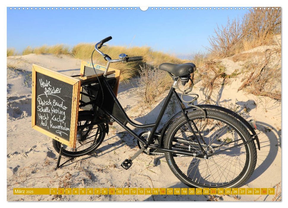 Insel Hiddensee - Stimmungen und Sehnsüchte (CALVENDO Premium Wandkalender 2025)