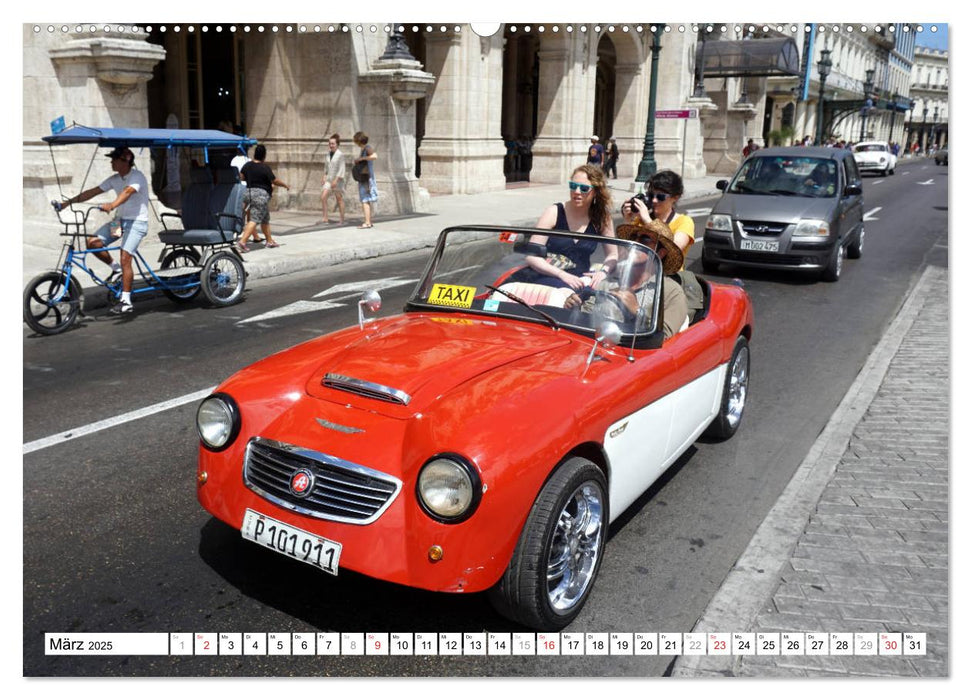 Englische Roadster - Oldtimer Schmuckstücke der Fünfziger Jahre (CALVENDO Premium Wandkalender 2025)