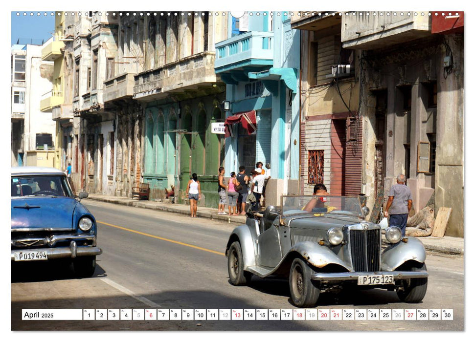 Englische Roadster - Oldtimer Schmuckstücke der Fünfziger Jahre (CALVENDO Premium Wandkalender 2025)