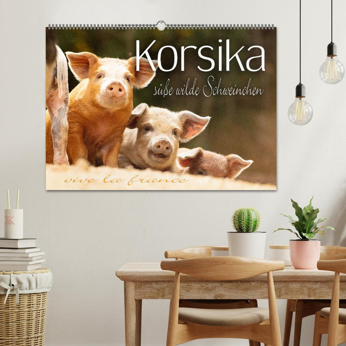 Korsika - süße, wilde Schweinchen (CALVENDO Wandkalender 2025)