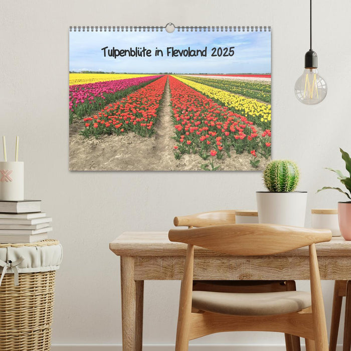 Tulpenblüte in Flevoland 2025 (CALVENDO Wandkalender 2025)