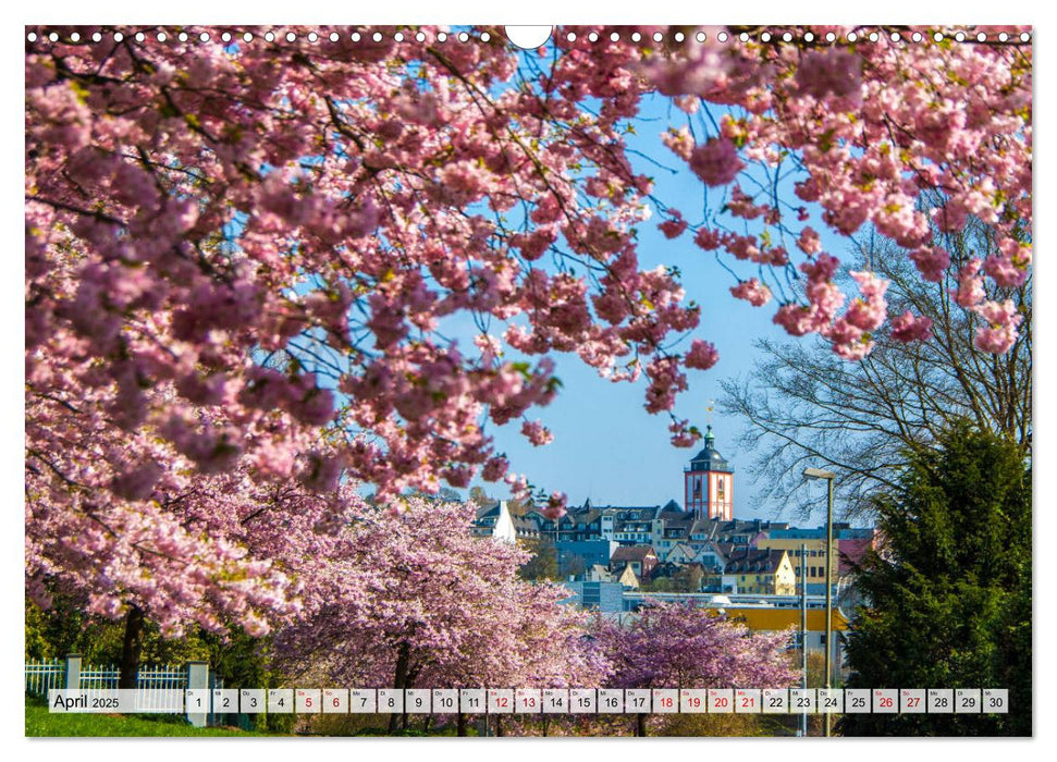 SIEGEN Stadt auf acht Bergen (CALVENDO Wandkalender 2025)