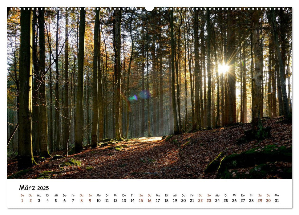 Meine schönsten Wanderwege (CALVENDO Premium Wandkalender 2025)