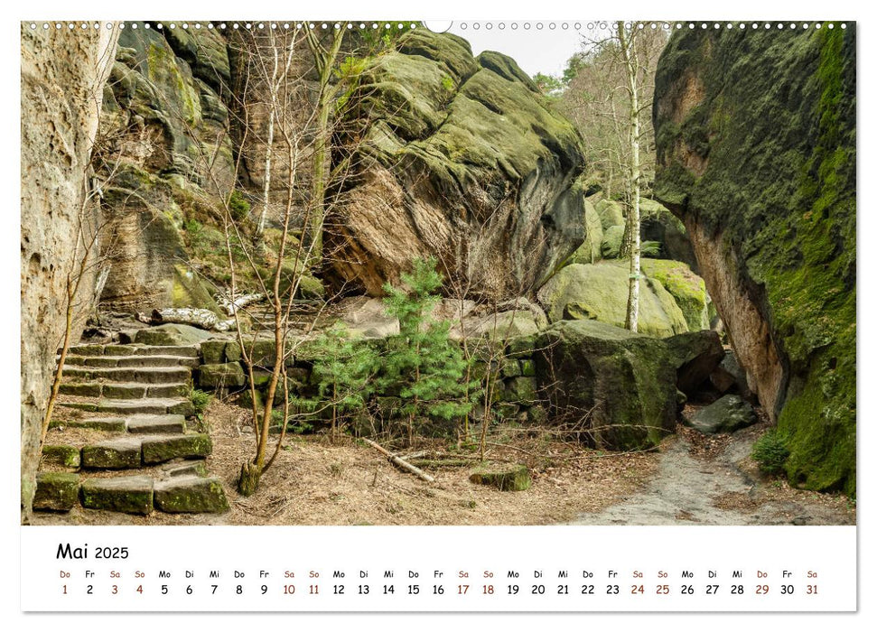 Meine schönsten Wanderwege (CALVENDO Premium Wandkalender 2025)