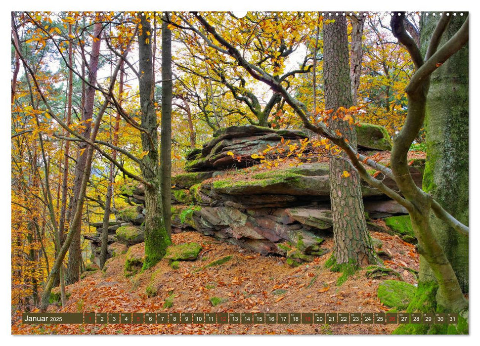 Trifels - Wanderung auf dem Annweilerer Burgenweg (CALVENDO Premium Wandkalender 2025)