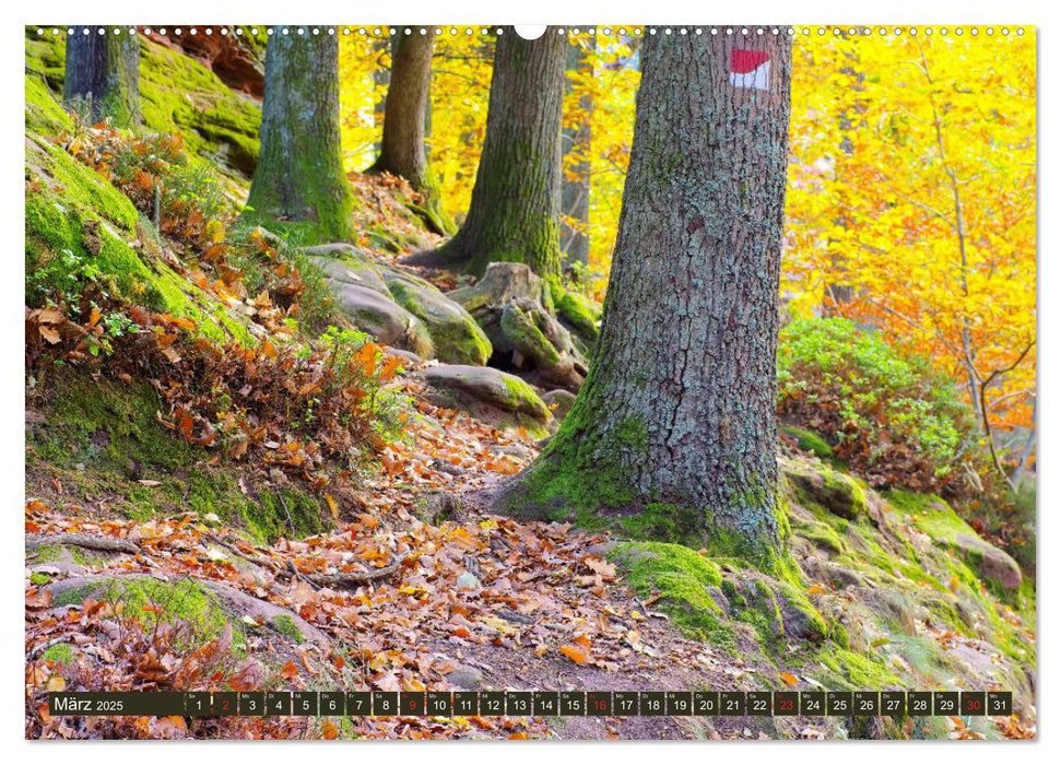 Trifels - Wanderung auf dem Annweilerer Burgenweg (CALVENDO Premium Wandkalender 2025)