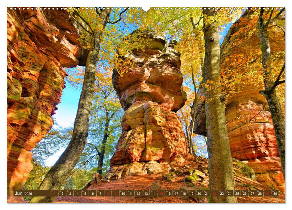 Der Altschlossfelsen - Größte Felsformation der Pfalz im herbstlichen Farbspiel (CALVENDO Premium Wandkalender 2025)