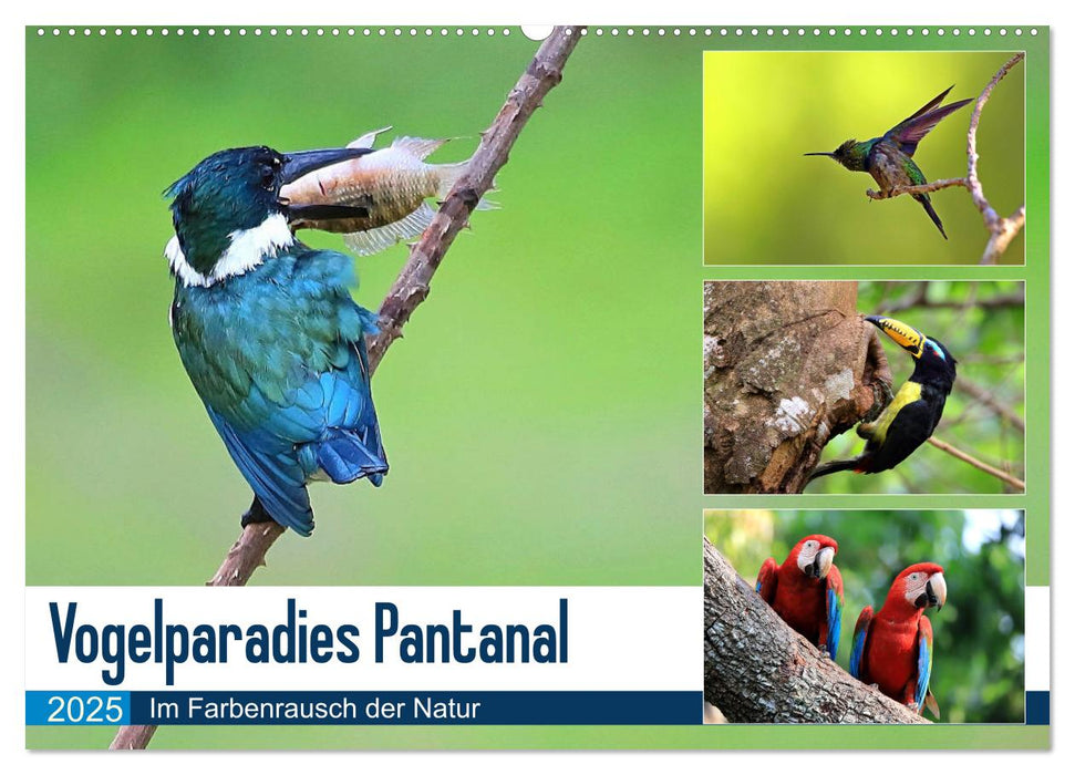 Vogelparadies Pantanal (CALVENDO Wandkalender 2025)