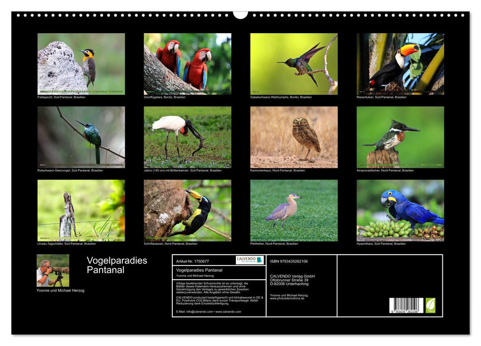 Vogelparadies Pantanal (CALVENDO Wandkalender 2025)