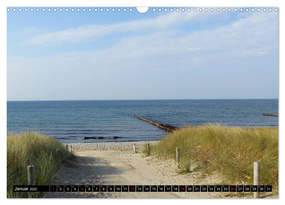 Auszeit Ostsee (CALVENDO Wandkalender 2025)