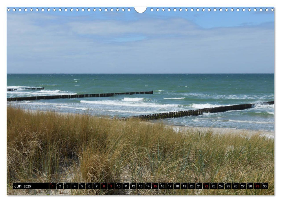 Auszeit Ostsee (CALVENDO Wandkalender 2025)