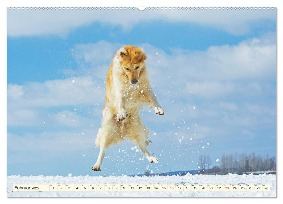 Golden Retriever - Freunde auf 4 Pfoten (CALVENDO Premium Wandkalender 2025)