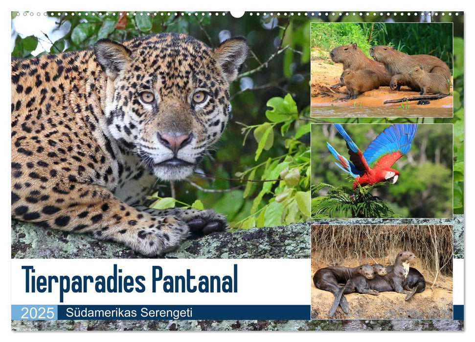 Tierparadies Pantanal (CALVENDO Wandkalender 2025)