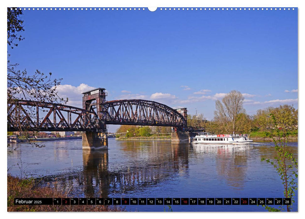 Frühling in Magdeburg (CALVENDO Wandkalender 2025)