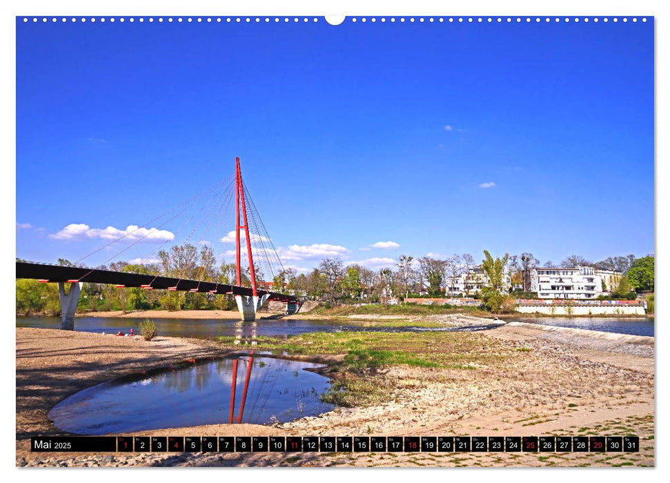 Frühling in Magdeburg (CALVENDO Wandkalender 2025)