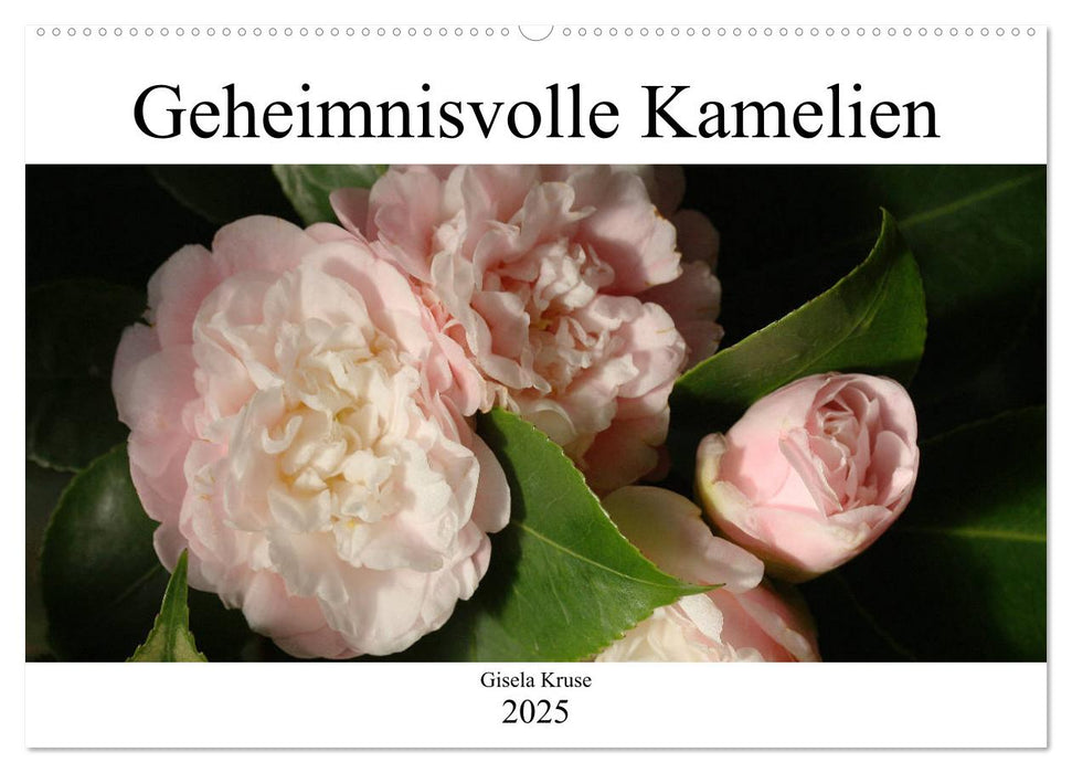 Geheimnisvolle Kamelien (CALVENDO Wandkalender 2025)