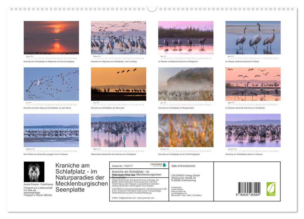 Kraniche am Schlafplatz - im Naturparadies der Mecklenburgischen Seenplatte (CALVENDO Premium Wandkalender 2025)