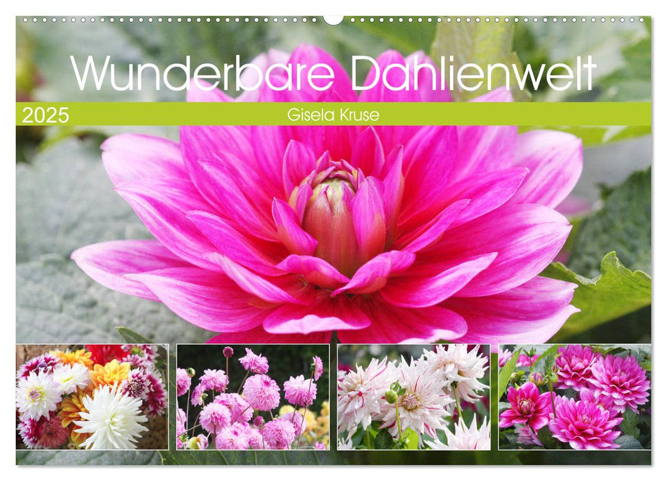 Wunderbare Dahlienwelt (CALVENDO Wandkalender 2025)