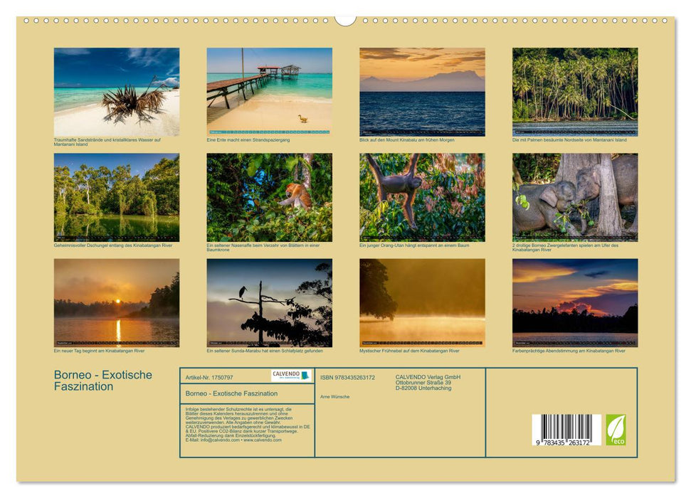 Borneo - Exotische Faszination (CALVENDO Premium Wandkalender 2025)