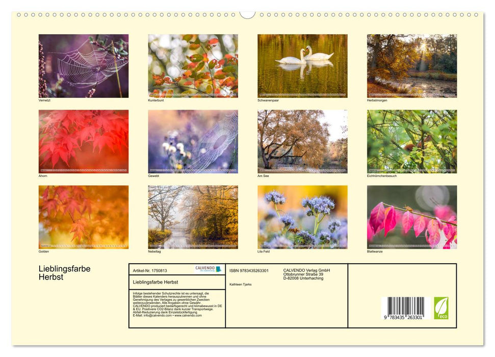 Lieblingsfarbe Herbst (CALVENDO Premium Wandkalender 2025)