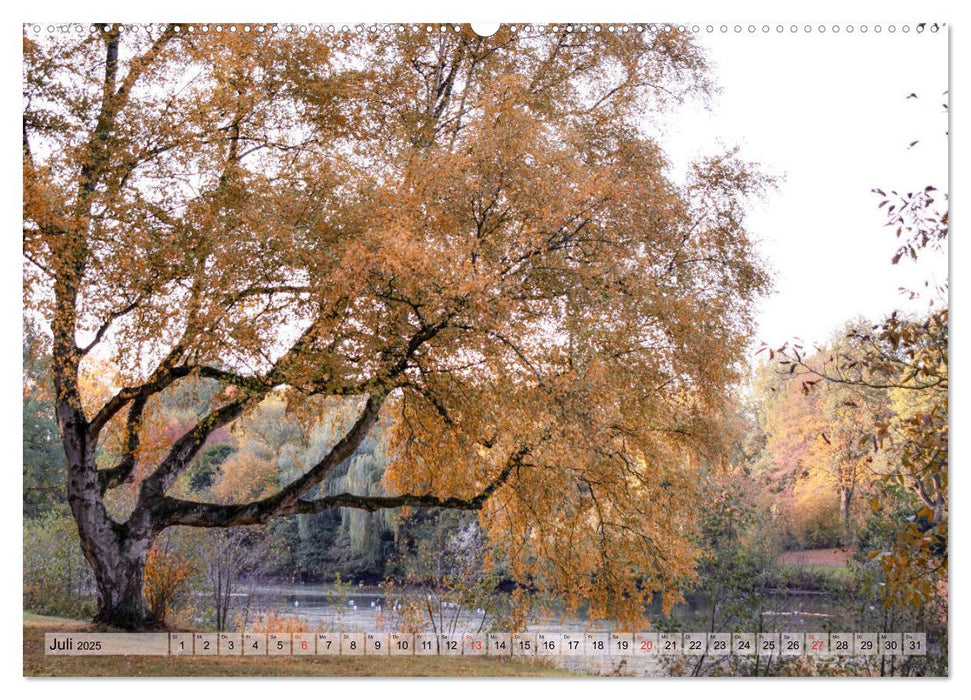 Lieblingsfarbe Herbst (CALVENDO Premium Wandkalender 2025)