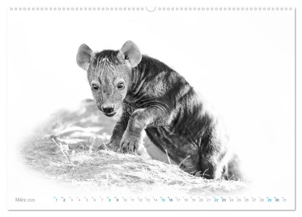 AFRIKA - Schwarz-weiss Fotografien im modernen "High Key" Look (CALVENDO Premium Wandkalender 2025)