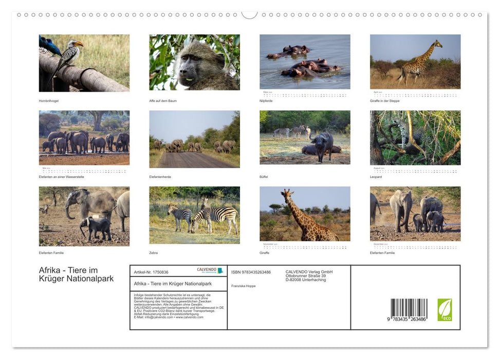 Afrika - Tiere im Krüger Nationalpark (CALVENDO Premium Wandkalender 2025)