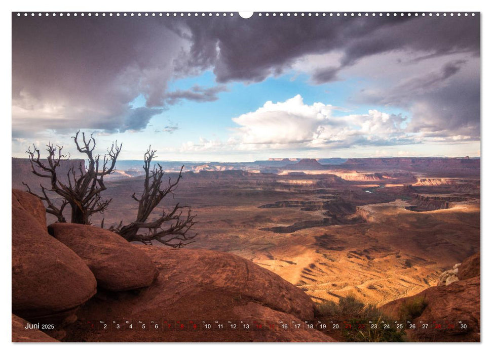 Wunder Natur II (CALVENDO Premium Wandkalender 2025)