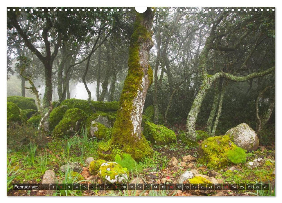 Sardinien Sardigna Sardegna Sardenya 2025 (CALVENDO Wandkalender 2025)