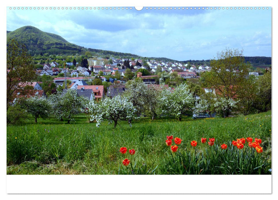 Unsere schöne Heimat - Die Schwäbische Alb (CALVENDO Premium Wandkalender 2025)