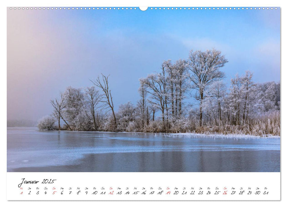 Der Kölpinsee - Naturparadies der Mecklenburgischen Seenplatte (CALVENDO Premium Wandkalender 2025)