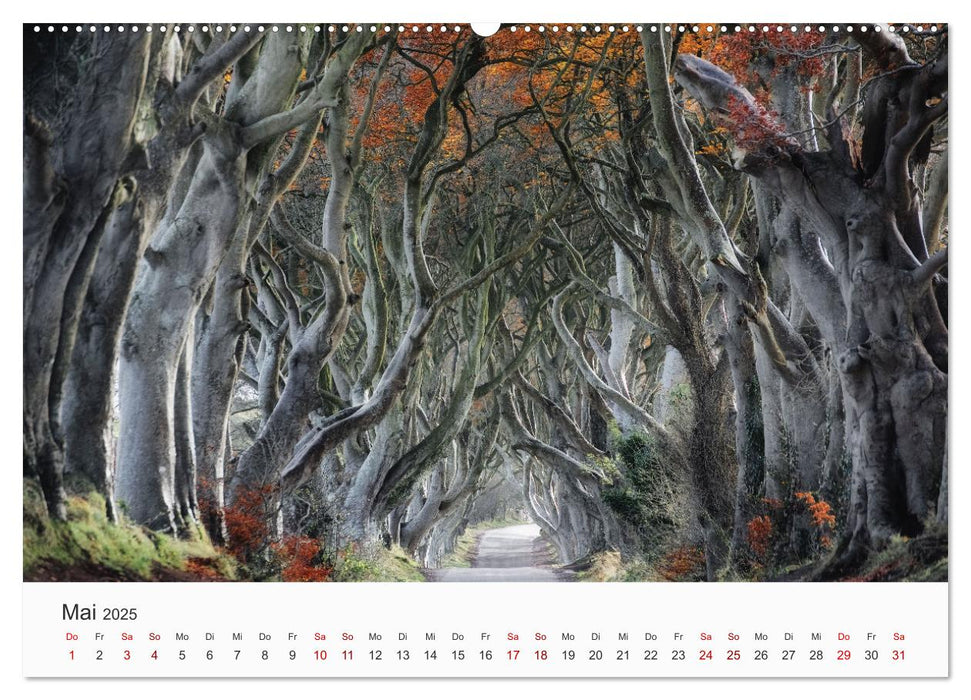 Naturschauspiel Irland (CALVENDO Premium Wandkalender 2025)